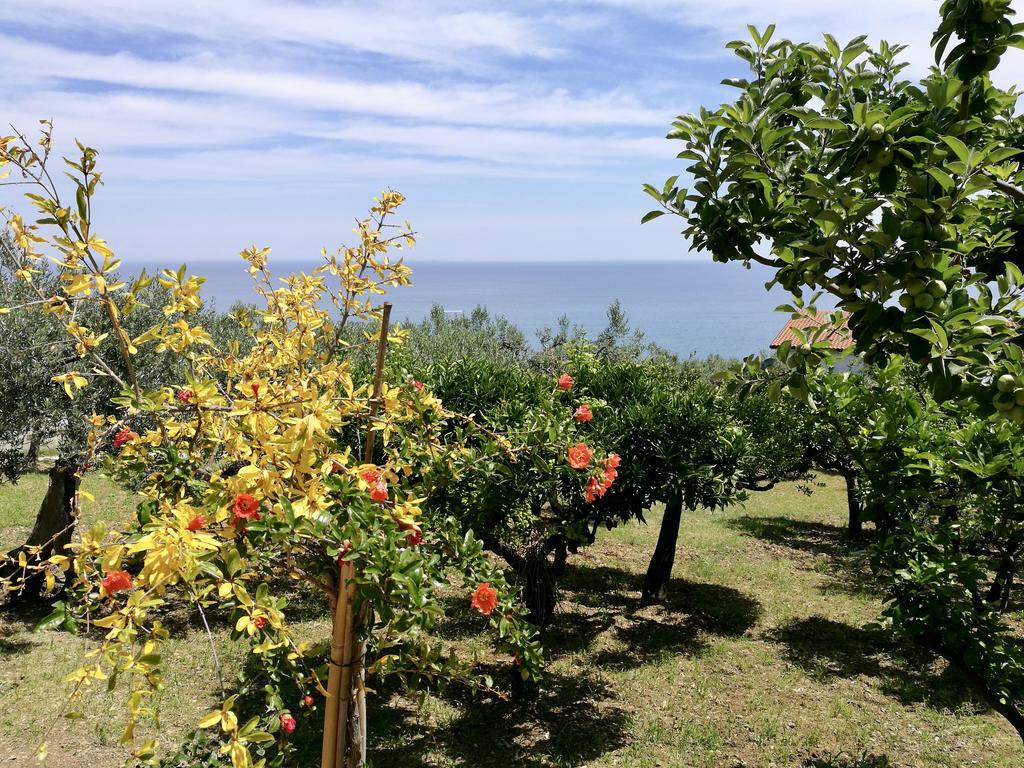 Villa Rosaria Vasto Kültér fotó